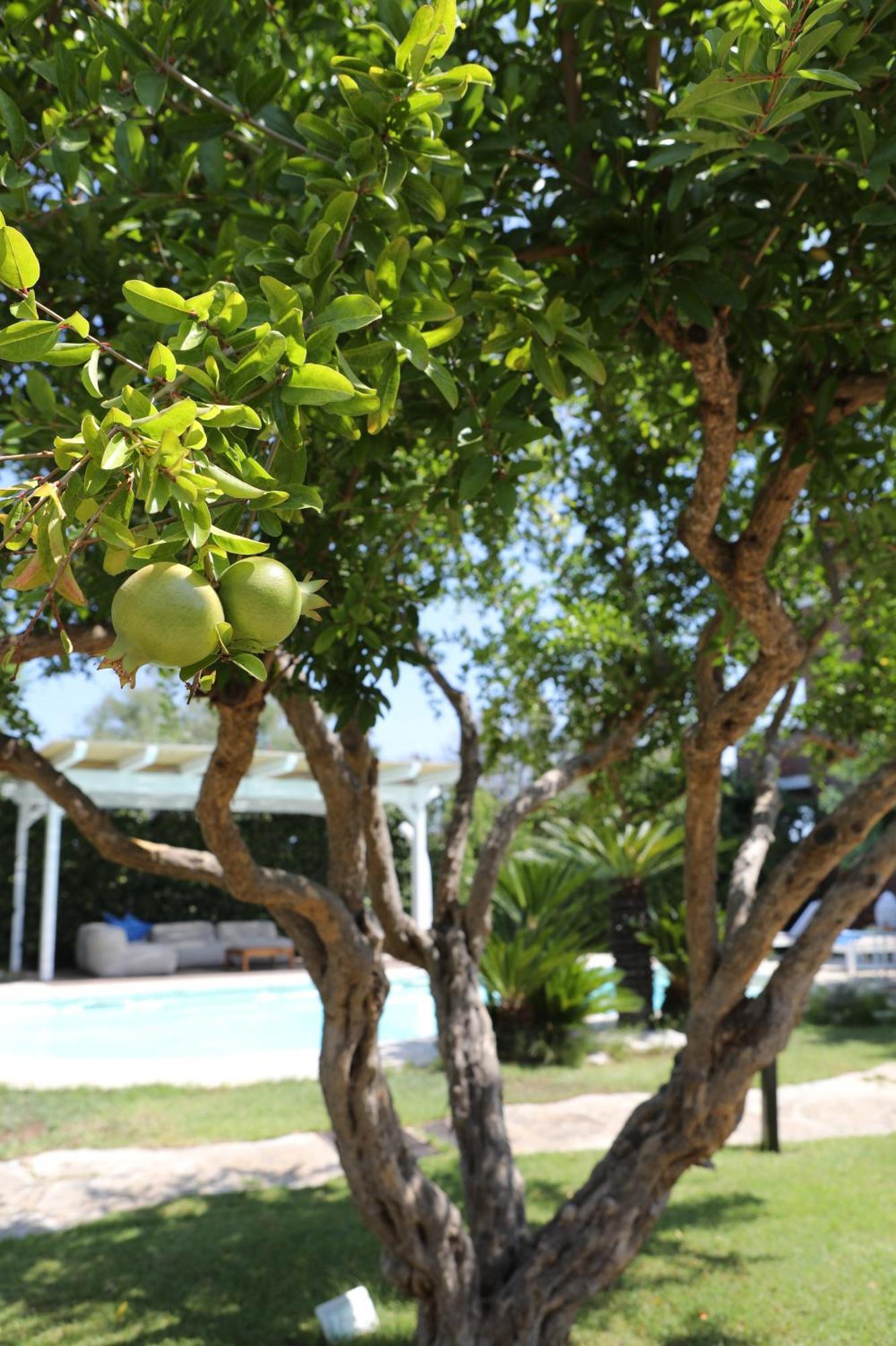 Kale Bed & Breakfast Giovinazzo Dış mekan fotoğraf