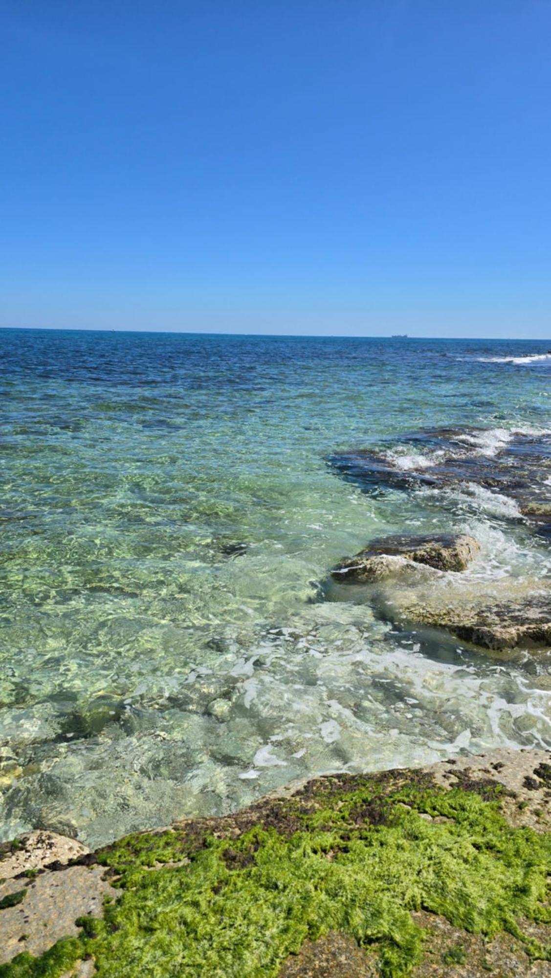 Kale Bed & Breakfast Giovinazzo Dış mekan fotoğraf