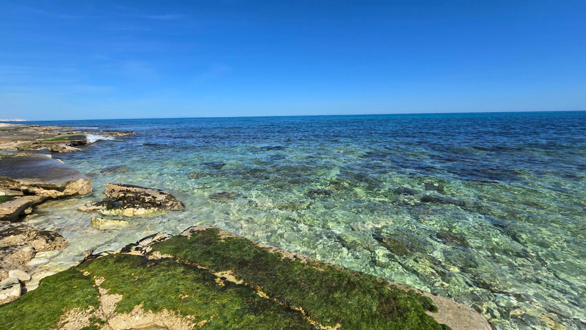 Kale Bed & Breakfast Giovinazzo Dış mekan fotoğraf